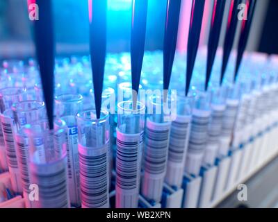 Automatisierte Blutprobe Prüfung im Laboratorium für healthcare Screening. Stockfoto