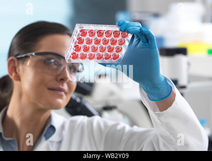 Die Forschung. Wissenschaftler anzeigen Zelle Proben in einer Multiwellplatte. Stockfoto