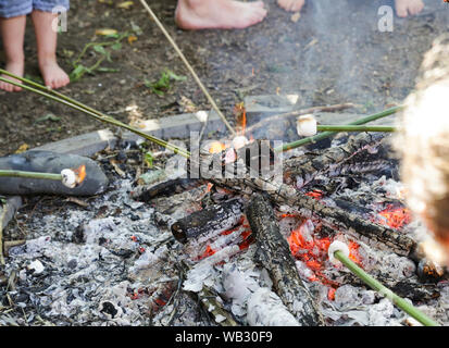 Kinder rösten Marshmallows auf einem offenen Feuer. Freier Bereich Kinder betreut und frei zu erkunden. Bild zeigt Kinder Füße, Bambus, Eibisch Stockfoto