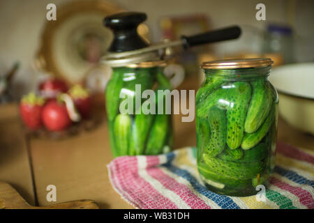 Der Prozess der Beizen Gurken in Liter Gläser Stockfoto
