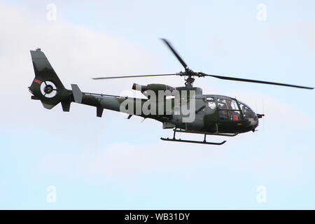 XW847, Westland Gazelle AH1 von der Army Air Corps betrieben, vom internationalen Flughafen Prestwick, Ayrshire abfliegen. Stockfoto