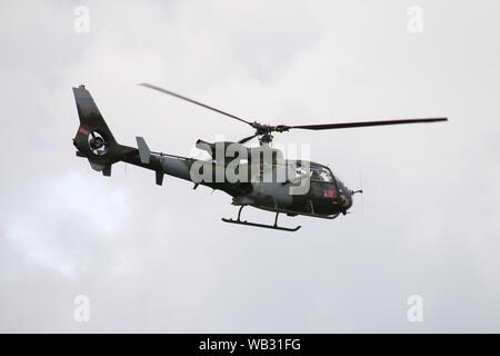 XW847, Westland Gazelle AH1 von der Army Air Corps betrieben, vom internationalen Flughafen Prestwick, Ayrshire abfliegen. Stockfoto