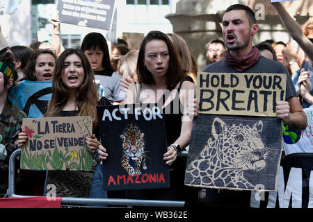 London, Großbritannien. 23 Aug, 2019. Umweltaktivisten werden gesehen, riefen Parolen außerhalb der Brasilianischen Botschaft in London. Aussterben Rebellion Umweltaktivisten außerhalb der Brasilianischen Botschaft in London Bewußtsein von Bränden, die verheerenden Auswirkungen, die die Amazon aufgeworfen werden, gesammelt. Sie fordern internationalen Druck der G7 zu zwingen, die Bolsonaro Regierung die Brände unter Kontrolle zu halten und der Amazonas Regenwald Schutz und die Indigenen leben garantieren. Credit: SOPA Images Limited/Alamy leben Nachrichten Stockfoto