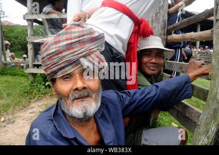 Stierkampf in Hat Yai, South Thailand Stockfoto