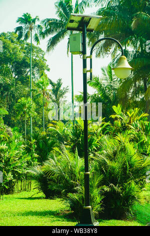 Straßenlaterne mit Solarmodul Energie auf tropischen grünen Wald in Indonesien - Foto Stockfoto