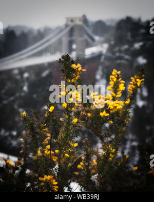 Clifton Suspension Bridge im Schnee, Bristol Stockfoto