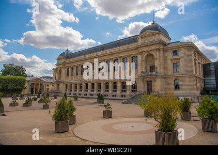 PARIS, Frankreich - 14 August, 2019 Museum für Naturkunde, Großen Galerie des Evolution Kamerafahrt Elefanten Giraffen Stockfoto