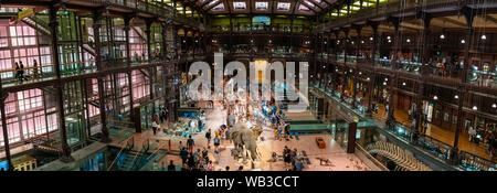 PARIS, Frankreich - 14 August, 2019 Museum für Naturkunde, Großen Galerie des Evolution Kamerafahrt Elefanten Giraffen Stockfoto