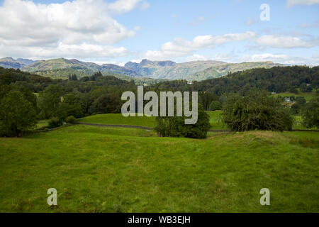 Weiten Blick auf die Landschaft und langdale Valley nach Langdale Pikes aus skelwith gesehen Falten Lake District National Park, England, Großbritannien Stockfoto