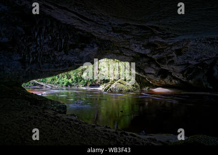 Moira Gate Arch im Oparara Basin, Kahurangi National Park, Neuseeland. Stockfoto