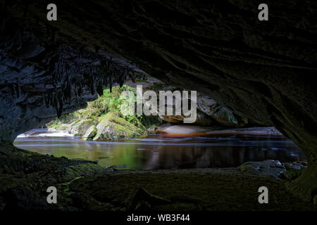Moira Gate Arch im Oparara Basin, Kahurangi National Park, Neuseeland. Stockfoto