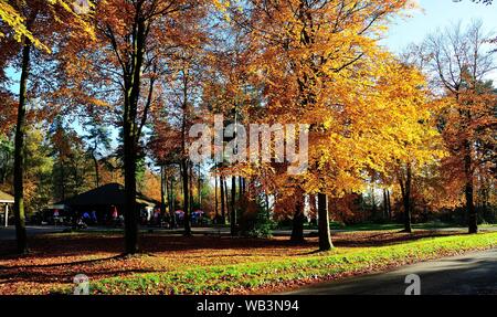 Herbst Blick von Wendover Holz mit Besucherzentrum Stockfoto