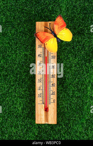 Thermometer Anzeigen hohe Temperaturen von 40 Grad in der Sonne Sommer Tag. Temperatur 40. Sommer Temperatur. Thermometer auf dem Gras mit butterflie Stockfoto