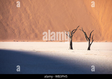 Tot Akazien Casting Shadows bei Sonnenaufgang in ariden Deadvlei pan. Sossusvlei, Namibia. Stockfoto