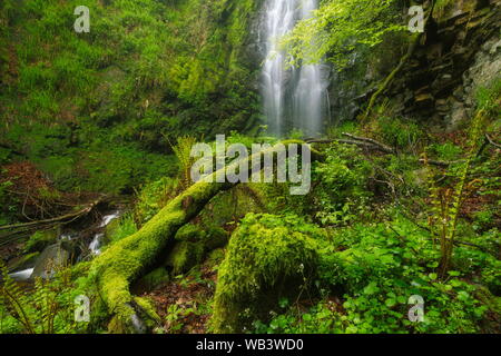 Naturpark von Gorbea, Baskenland. Mai 03, 2014. Wasserfall im Naturpark von Gorbea, im Baskenland. Stockfoto