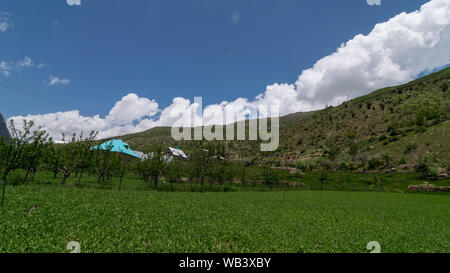Foto von Dorf, das von der Farm in Ladakh Umgeben Stockfoto