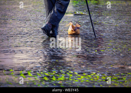 Schuhe auf dem nassen Asphalt der Straße Schauspieler Stockfoto