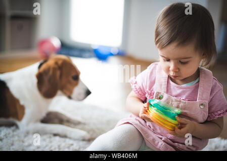 Babysitting auf dem Flor mit Beagle Hund Stockfoto