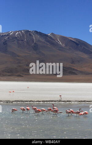 Salar de Uyuni, inmitten der Anden im Südwesten von Bolivien Stockfoto