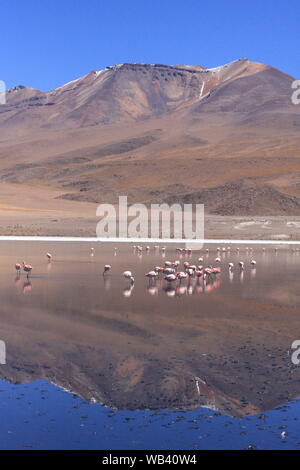 Salar de Uyuni, inmitten der Anden im Südwesten von Bolivien Stockfoto