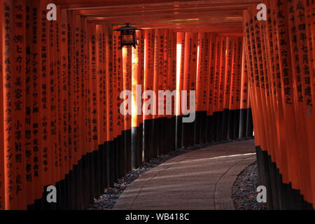 Fushimi Inari taisha tausend Schreine in Kyoto, Japan Stockfoto