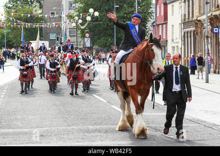 Irvine, UK. 24. August 2019. Von Irvine Marymass Festival ist ein historisches Ereignis, das als mittelalterliche Horse Show begann und ist jetzt der größte Festival im Westen von Schottland zieht über 20.000 Besucher jährlich. Diese historische Festzug durch "Die Irvine Carters 'Gesellschaft', die zuerst für Unternehmen und gemeinnützige Zwecke gebildet wurde, und kann seine Ursprünge zurück bis 1753 Trace organisiert. Bild von Willie GEDDES die Fuhrleute Geschäftsjahr, Apollo, einem 13 Jahre alten Clydesdale Wallach. Credit: Findlay/Alamy leben Nachrichten Stockfoto