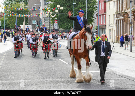 Irvine, UK. 24. August 2019. Von Irvine Marymass Festival ist ein historisches Ereignis, das als mittelalterliche Horse Show begann und ist jetzt der größte Festival im Westen von Schottland zieht über 20.000 Besucher jährlich. Diese historische Festzug durch "Die Irvine Carters 'Gesellschaft', die zuerst für Unternehmen und gemeinnützige Zwecke gebildet wurde, und kann seine Ursprünge zurück bis 1753 Trace organisiert. Bild von Willie GEDDES die Fuhrleute Geschäftsjahr, Apollo, einem 13 Jahre alten Clydesdale Wallach. Credit: Findlay/Alamy leben Nachrichten Stockfoto