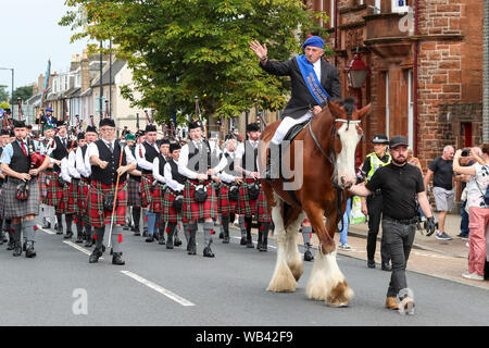 Irvine, UK. 24. August 2019. Von Irvine Marymass Festival ist ein historisches Ereignis, das als mittelalterliche Horse Show begann und ist jetzt der größte Festival im Westen von Schottland zieht über 20.000 Besucher jährlich. Diese historische Festzug durch "Die Irvine Carters 'Gesellschaft', die zuerst für Unternehmen und gemeinnützige Zwecke gebildet wurde, und kann seine Ursprünge zurück bis 1753 Trace organisiert. Bild von Willie GEDDES die Fuhrleute Geschäftsjahr, Apollo, einem 13 Jahre alten Clydesdale Wallach. Credit: Findlay/Alamy leben Nachrichten Stockfoto