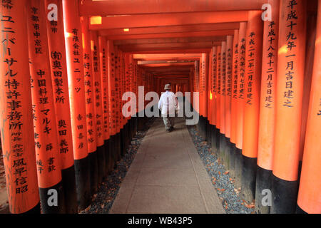 Fushimi Inari taisha tausend Schreine in Kyoto, Japan Stockfoto