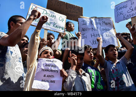 Srinagar, Indien. 23 Aug, 2019. Kaschmir Demonstranten skandieren Parolen und Plakate während der Rallye. eine Rallye wurde in Srinagar Stadt nach der Entscheidung durch die zentrale Regierung, Artikel 370 Die besondere Status in Jammu und Kaschmir Zuschüsse für Schrott gehalten. Credit: SOPA Images Limited/Alamy leben Nachrichten Stockfoto