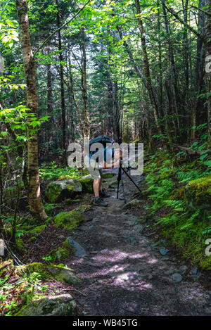 Mann beugt sich über Stativ in einem Bergwald zu erfassen Stockfoto