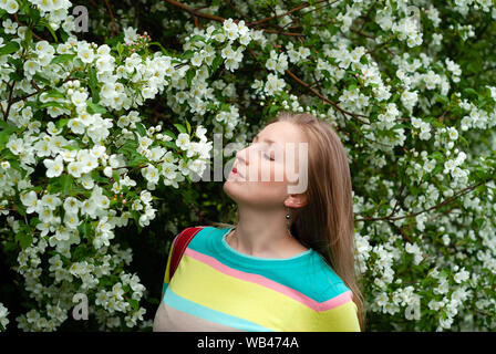 Junge blonde Frau, genießen Sie den Duft von apple tree Blumen Stockfoto