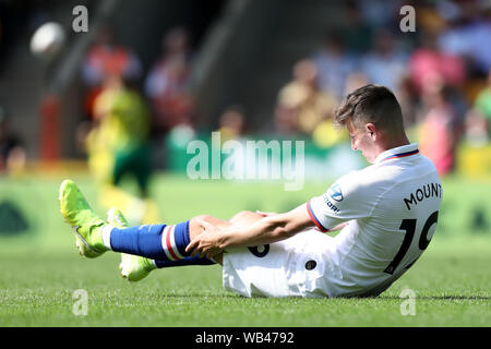 Norwich, Norfolk, Großbritannien. Norwich, Norfolk, Großbritannien. 24. August 2019; Fußball der englischen Premier League, Norwich gegen Chelsea Football Club; Maurer Berg von Chelsea geht unten verletzt - Streng redaktionelle Verwendung. Keine Verwendung mit nicht autorisierten Audio-, Video-, Daten-, Spielpläne, Verein/liga Logos oder "live" Dienstleistungen. On-line-in-Match mit 120 Bildern beschränkt, kein Video-Emulation. Keine Verwendung in Wetten, Spiele oder einzelne Verein/Liga/player Publikationen Quelle: Aktion Plus Sport Bilder/Alamy leben Nachrichten Stockfoto