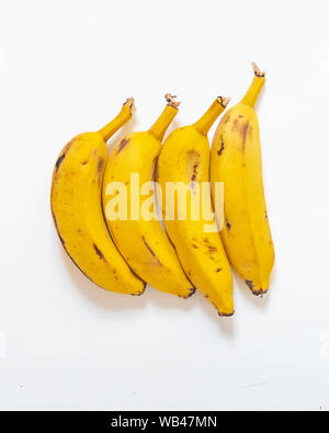 Ein Bündel von vier echten Bananen vor weißem Hintergrund Stockfoto