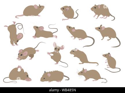 Andere Mäuse. Maus Yoga Posen und Übungen. Cute cartoon Clipart eingestellt. Vector Illustration Stock Vektor