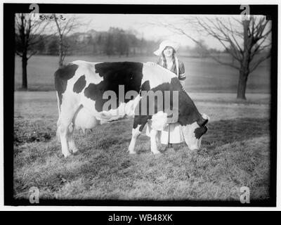 ECKLES, Virginia. IN DER NIEDERLÄNDISCHEN MILCHINDUSTRIE - DIENSTMÄDCHEN, MIT KUH Abstract / Medium: 1 Negativ: Glas; 5 x 7 in. oder kleiner Stockfoto