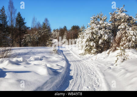 Winterlandschaft. Der Weg in den sonnendurchfluteten Wald unter den Schneeverwehungen und Bäume mit Schnee bedeckt Stockfoto