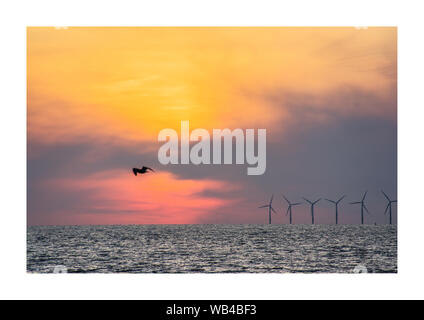Vogel über das Meer fliegen. Windkraftanlagen im Hintergrund Stockfoto