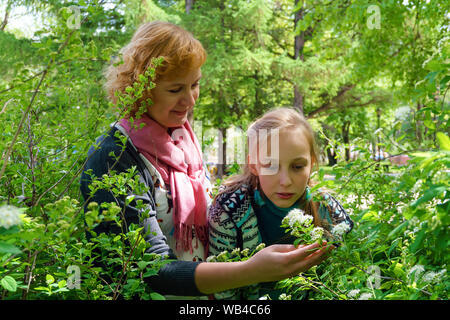 Mutter und jugendlich Tochter kommunizieren und bewundern Sie blühende Sträucher im Park Stockfoto