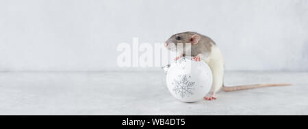 Ratte mit glas kugel Weihnachten Dekoration Stockfoto