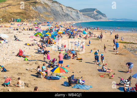 Charmouth, Dorset, Großbritannien. 24 Aug, 2019. UK Wetter: Der Küstenort Charmouth (Lyme Regis' ruhigeren Nachbarn) war besetzt, als Sonnenanbeter am Strand strömten bis die heiße Sonne über die August Bank Holiday Wochenende zu genießen. Credit: Celia McMahon/Alamy leben Nachrichten Stockfoto