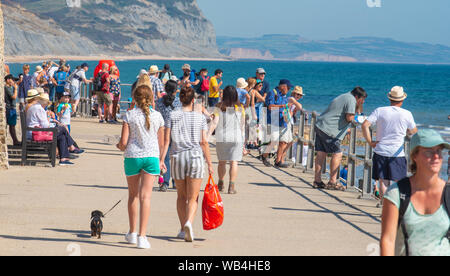 Charmouth, Dorset, Großbritannien. 24 Aug, 2019. UK Wetter: Der Küstenort Charmouth (Lyme Regis' ruhigeren Nachbarn) war besetzt, als Sonnenanbeter am Strand strömten bis die heiße Sonne über die August Bank Holiday Wochenende zu genießen. Credit: Celia McMahon/Alamy leben Nachrichten Stockfoto