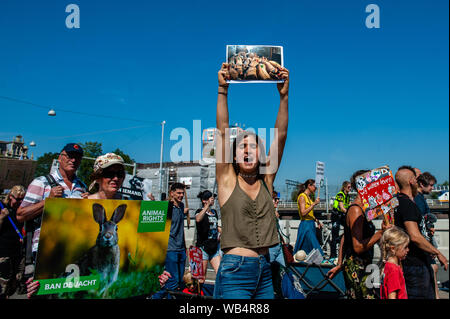 Eine Frau schreit Slogans halten sie ein Plakat mit einem Foto von Schweinen Schmerzen während der Demonstration. Dies ist das zweite Mal, dass die Rechte der Tiere März in den Niederlanden stattgefunden hat. Tausende Tierfreunde in Amsterdam versammelt, oben zu stehen und sprechen sich gegen alle Formen, in denen Tiere verwendet werden, missbraucht und ausgebeutet. Stockfoto
