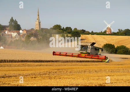 Thaxted, UK. 24 Aug, 2019. Thaxted Essex England UK. Weizenernte. 24. August 2019 Aufgrund einer nassen Anfang August die Weizenernte läuft Ende dieses Jahres erwartet, aber die Erträge sind hoch. Hier zu sehen ein Mähdrescher schneidet den Weizen im Park Farm Landwirt Simon Latham im Schatten des 15. Jahrhunderts Thaxted Kirche und 19. Jahrhundert John Webb's Windmühle in Thaxted North Essex England besaß. Credit: Brian Harris/Alamy leben Nachrichten Stockfoto