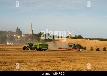 Thaxted, UK. 24 Aug, 2019. Thaxted Essex England UK. Weizenernte. 24. August 2019 Aufgrund einer nassen Anfang August die Weizenernte läuft Ende dieses Jahres erwartet, aber die Erträge sind hoch. Hier zu sehen ein Mähdrescher schneidet den Weizen im Park Farm Landwirt Simon Latham im Schatten des 15. Jahrhunderts Thaxted Kirche und 19. Jahrhundert John Webb's Windmühle in Thaxted North Essex England besaß. Credit: Brian Harris/Alamy leben Nachrichten Stockfoto