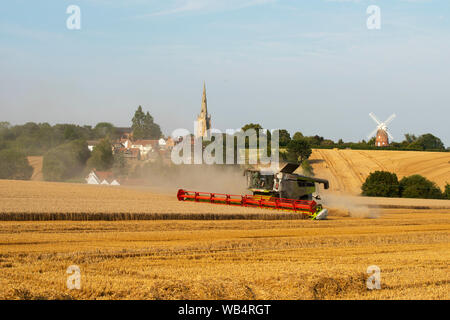 Thaxted, UK. 24 Aug, 2019. Thaxted Essex England UK. Weizenernte. 24. August 2019 Aufgrund einer nassen Anfang August die Weizenernte läuft Ende dieses Jahres erwartet, aber die Erträge sind hoch. Hier zu sehen ein Mähdrescher schneidet den Weizen im Park Farm Landwirt Simon Latham im Schatten des 15. Jahrhunderts Thaxted Kirche und 19. Jahrhundert John Webb's Windmühle in Thaxted North Essex England besaß. Credit: Brian Harris/Alamy leben Nachrichten Stockfoto