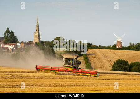 Thaxted, UK. 24 Aug, 2019. Thaxted Essex England UK. Weizenernte. 24. August 2019 Aufgrund einer nassen Anfang August die Weizenernte läuft Ende dieses Jahres erwartet, aber die Erträge sind hoch. Hier zu sehen ein Mähdrescher schneidet den Weizen im Park Farm Landwirt Simon Latham im Schatten des 15. Jahrhunderts Thaxted Kirche und 19. Jahrhundert John Webb's Windmühle in Thaxted North Essex England besaß. Credit: Brian Harris/Alamy leben Nachrichten Stockfoto