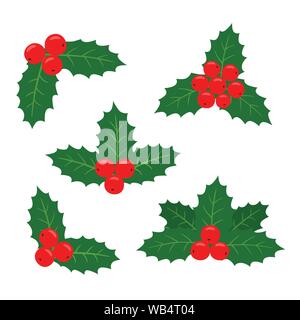 Holly Anlage. Vector Illustration einer Reihe von Proben für die Karten. Stock Vektor