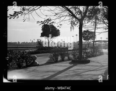 Ägypten. Kairo. Gezira Gardens & Sport Abstract / Medium: G. Eric und Edith Matson Fotosammlung Stockfoto