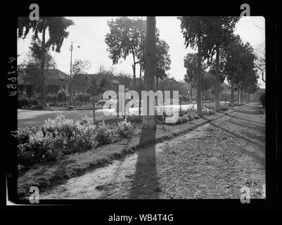 Ägypten. Kairo. Gezira Gardens & Sport Abstract / Medium: G. Eric und Edith Matson Fotosammlung Stockfoto